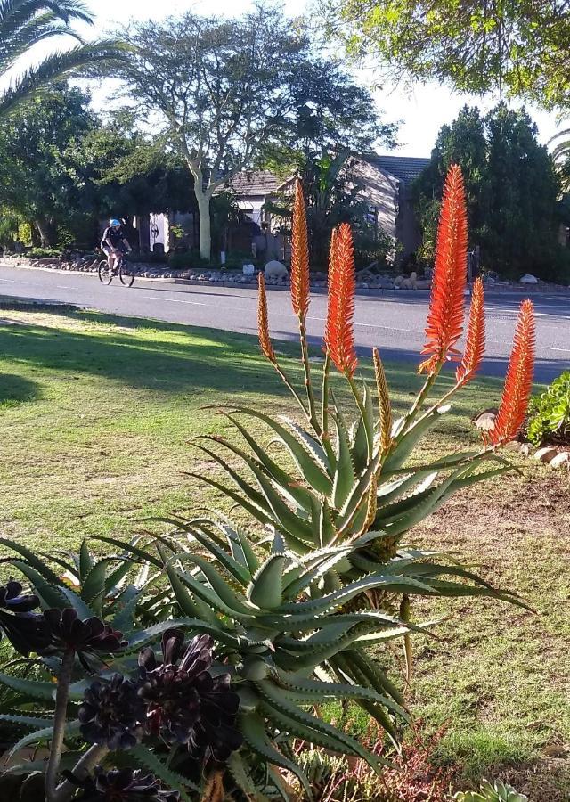 19 On Robyn Apartment Durbanville Exterior foto