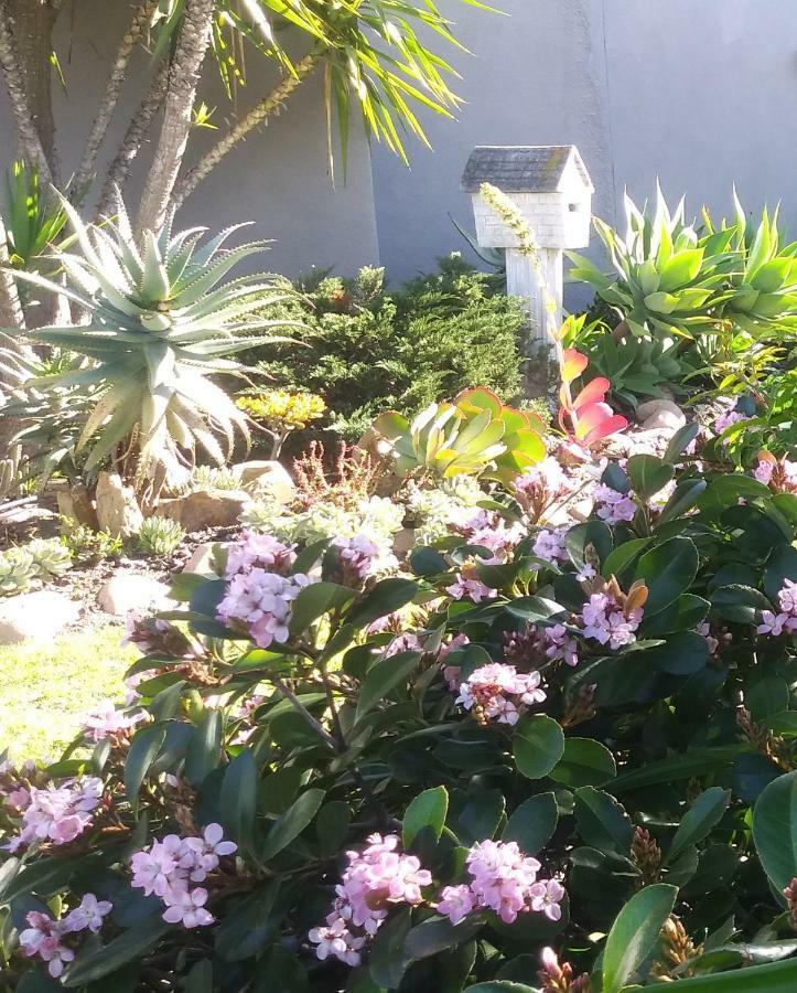 19 On Robyn Apartment Durbanville Exterior foto